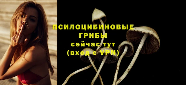 ECSTASY Алексин