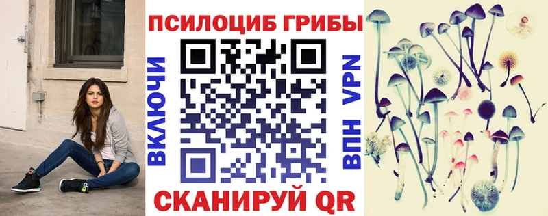 как найти закладки  Муром  Галлюциногенные грибы мицелий 